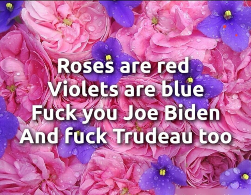 fu biden& trudeau
