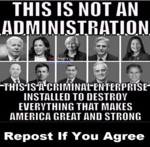 9238887a18f87a4e75f470848c42e6b4_500x0