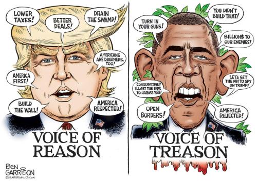 Voice of Reason