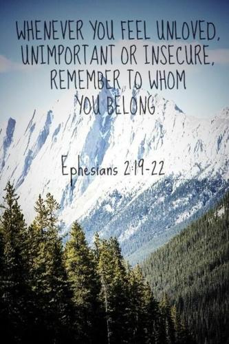 0dc7ad81-9918-4fa7-ae7c-165aa0a9fc20