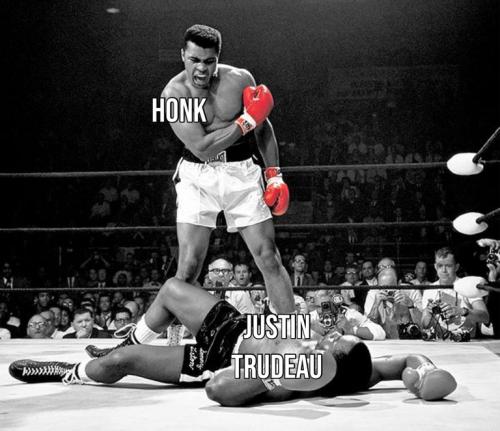 f079f2553d7f1271bb654457922f65c4_500x0