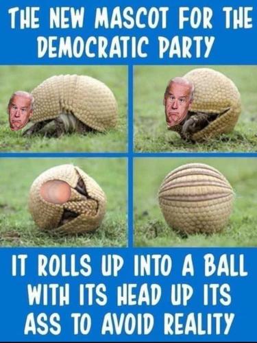 cb91b9a0d21e722d07de4b626ee34362