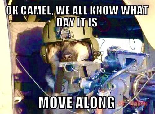 B3E6D7EA-1DAB-4B38-8C3F-D842F6A6A94C