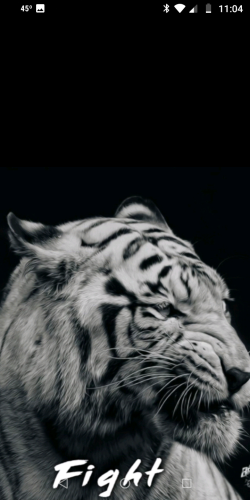 Screenshot_20220203-230418