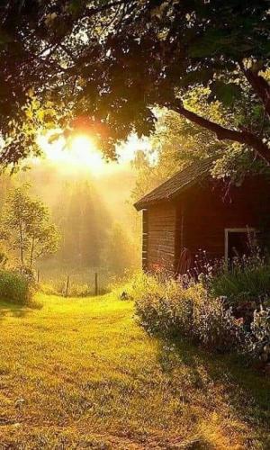 FB_IMG_1619586438191