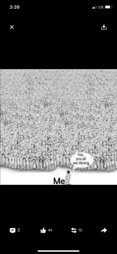 image_1643848427.746