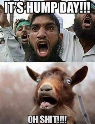 b46785cf9b82205a73e00ea9c0eb1dbb_1024