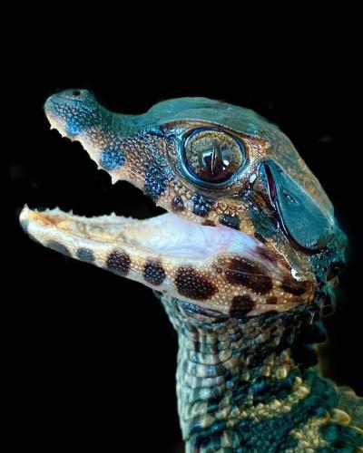 68782AE9-7507-4C78-9658-E7BAAC1A364F