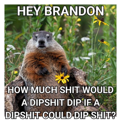 M Brandon