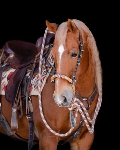 D86746DC-94DA-4412-A952-2059D6232EF4