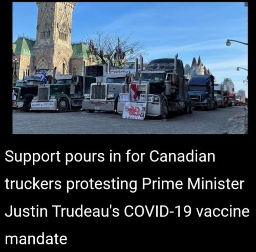 Screenshot_20220208-132929_Fox News