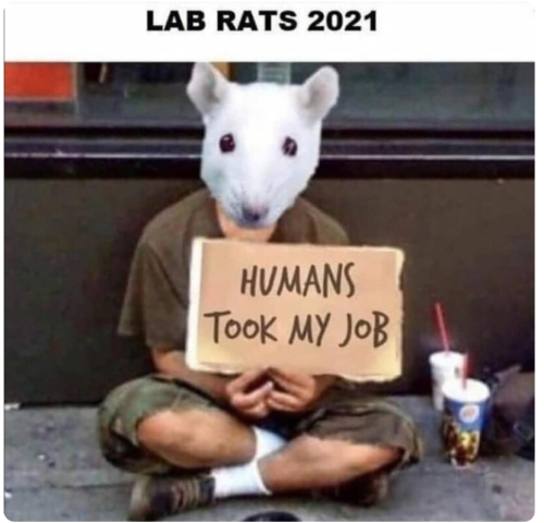 https___bucketeer-e05bbc84-baa3-437e-9518-adb32be77984.s3.amazonaws.com_public_images_148468ad-5f29-45a3-b0a1-eec3b76d52c2_830x798