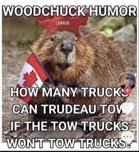 3B201EAB-4408-484B-A0B8-FD0C43FFF762