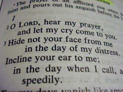 FB_IMG_1596627628158~2