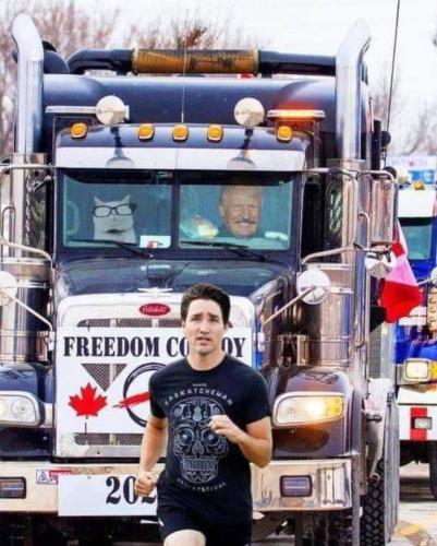 bd72e9aacd78b37c4d35ab2976e7fca0_500x0