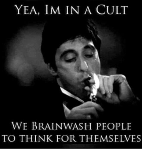 My cult