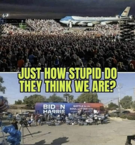 f34854d7cde445e0371fd1c574d95b56_500x0