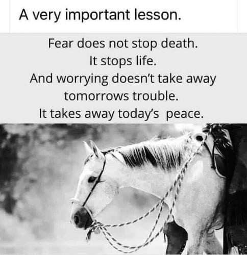 FB_IMG_1645833212367