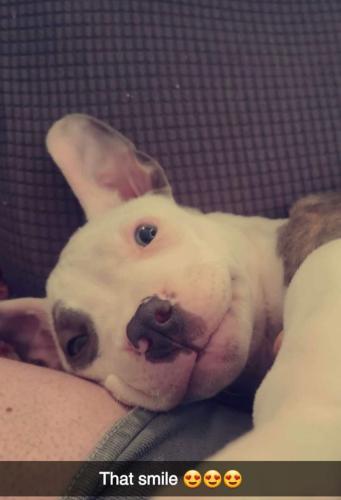 received_480217893729252