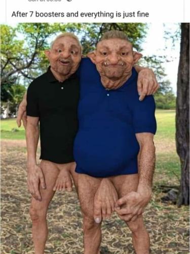 Vax Bros