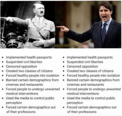 6924fdd474f914fed34d07d5b2eb0a2d_500x0