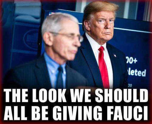 Fauci Lock him up