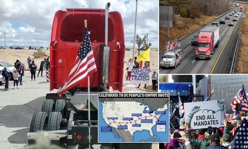 e32803c7-7641-447d-a13b-4025f7d49c07