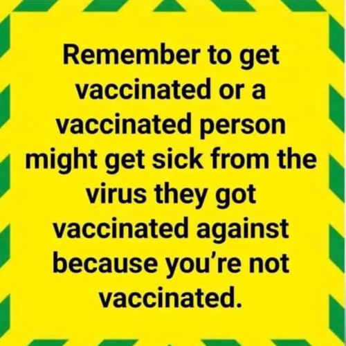 Which is better vaccinated or not vaccinated
