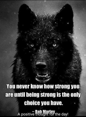 Screenshot_20220210-113307