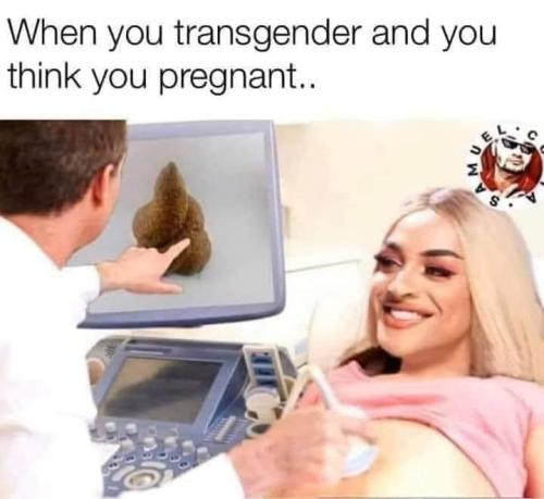 transprego