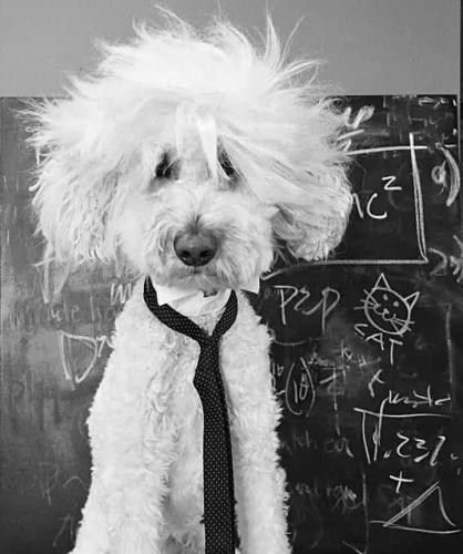 FB_IMG_1644608965618