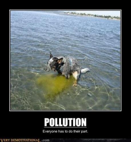 dogshit pollution
