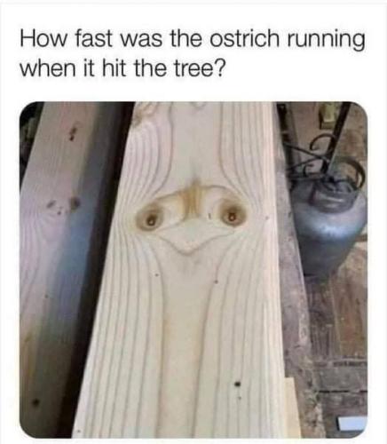 IMG_20220218_143712_671