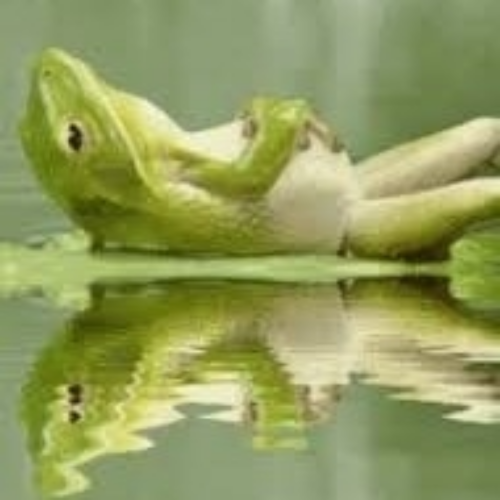 1644535689117_hub_od_