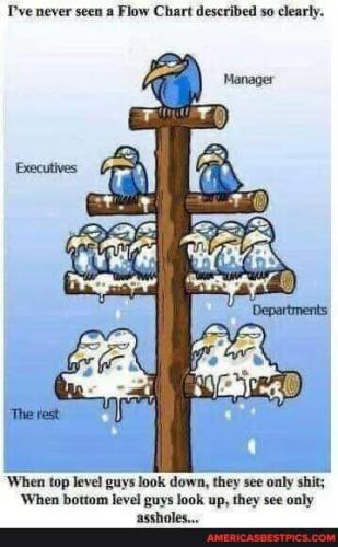 a506a0e1-d16c-4010-9df6-70a5c7a0ee1a