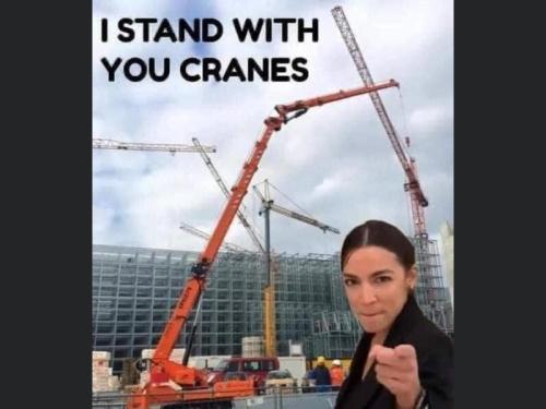 She means it