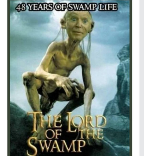 swamp life 98312349723421375