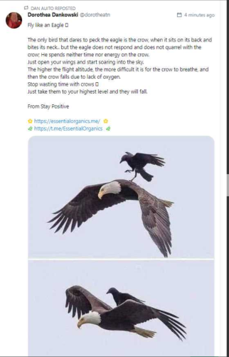 Screenshot_20220221-090059