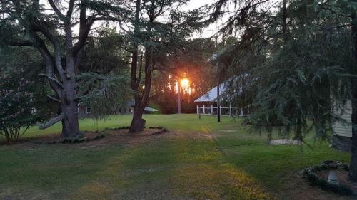 FB_IMG_1516736351988