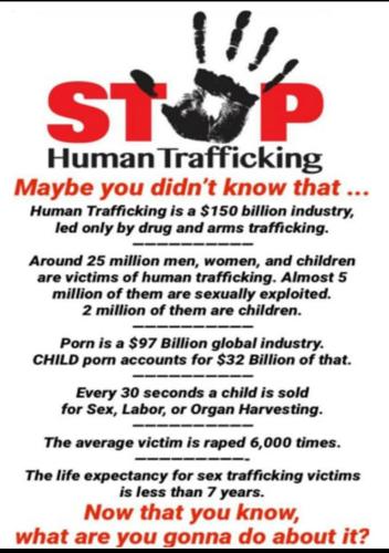 d7a8ba173e700614f393afb0d2b550fe_500x0