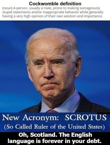 SMALL Cockwomble SCROTUS meme