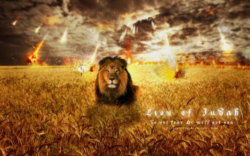 lion_of_judah_by_teddy_cube-d6d6n5x