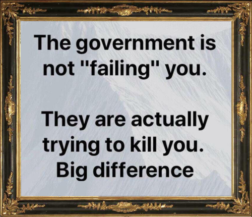 Government not failin you