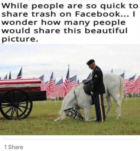 4C35F0A5-AB05-4C74-AE2B-CC0CEAE5978F