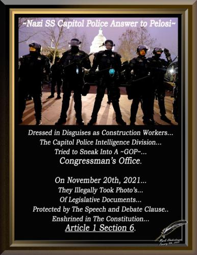Pelosi's Nazi SS Capitol Police