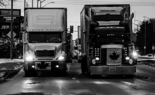 FB_IMG_1644064934060