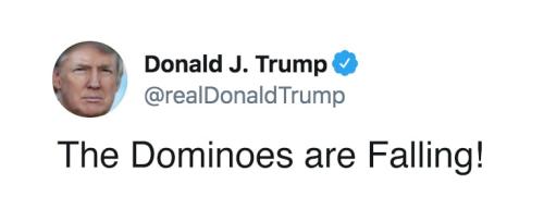 05a02a4e-2555-4e4e-9a4c-68f3ad94c763d