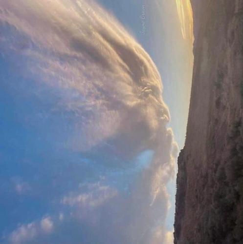 3F13062F-3176-4C4B-AC53-3C71E5FB60BD