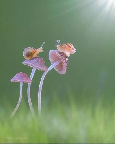 D70A1060-1238-46DC-9779-252C6B6DEFBE