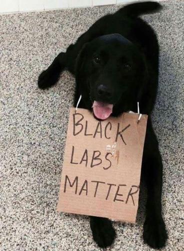 F1379B76-674F-4EC3-8544-355BCA753CD9